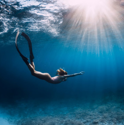 SERBEST DALIŞ MALZEMELERİ